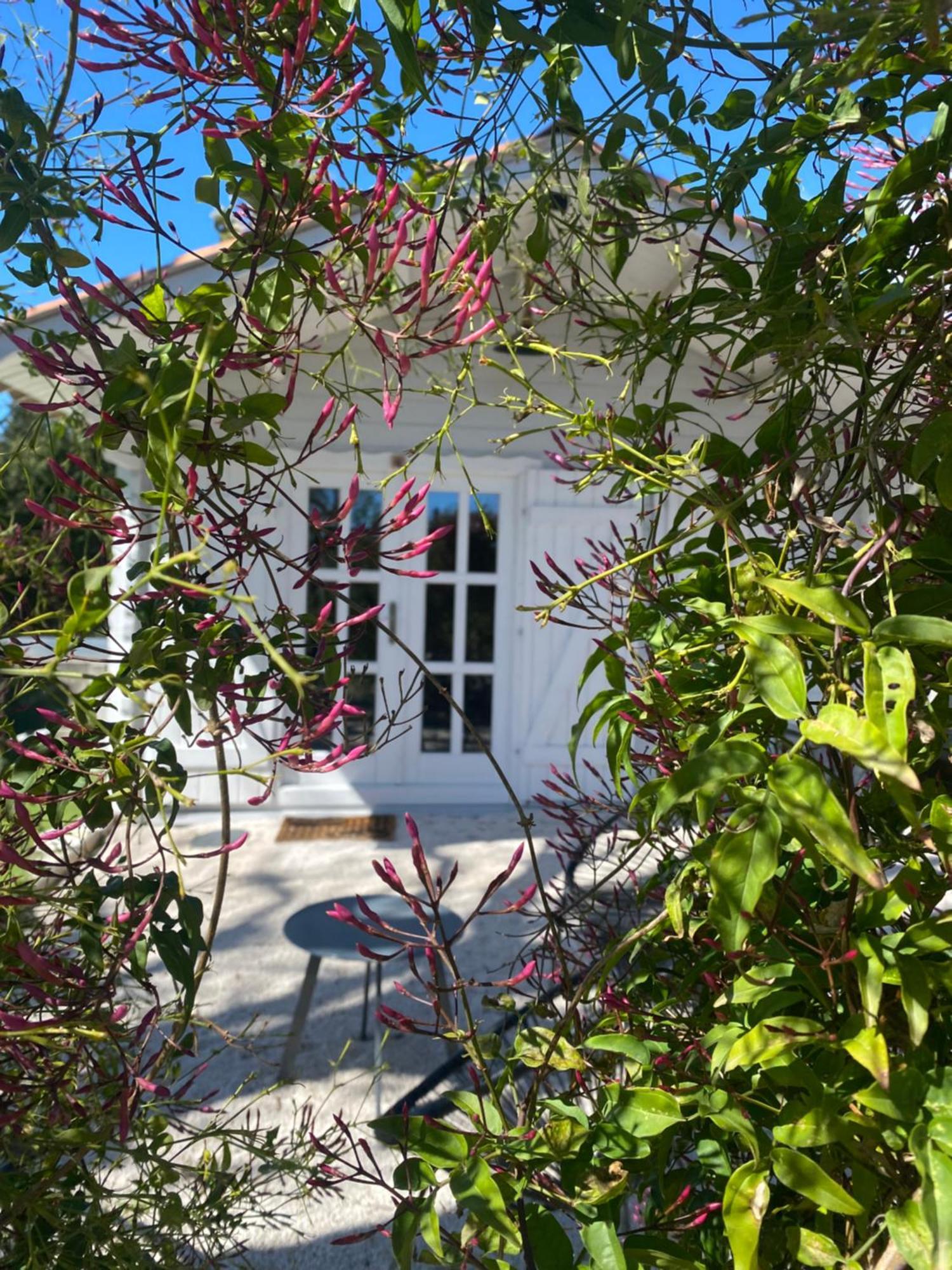 Maison Saint Paul Bnb ลากอลล์-ซูร์-ลู ภายนอก รูปภาพ